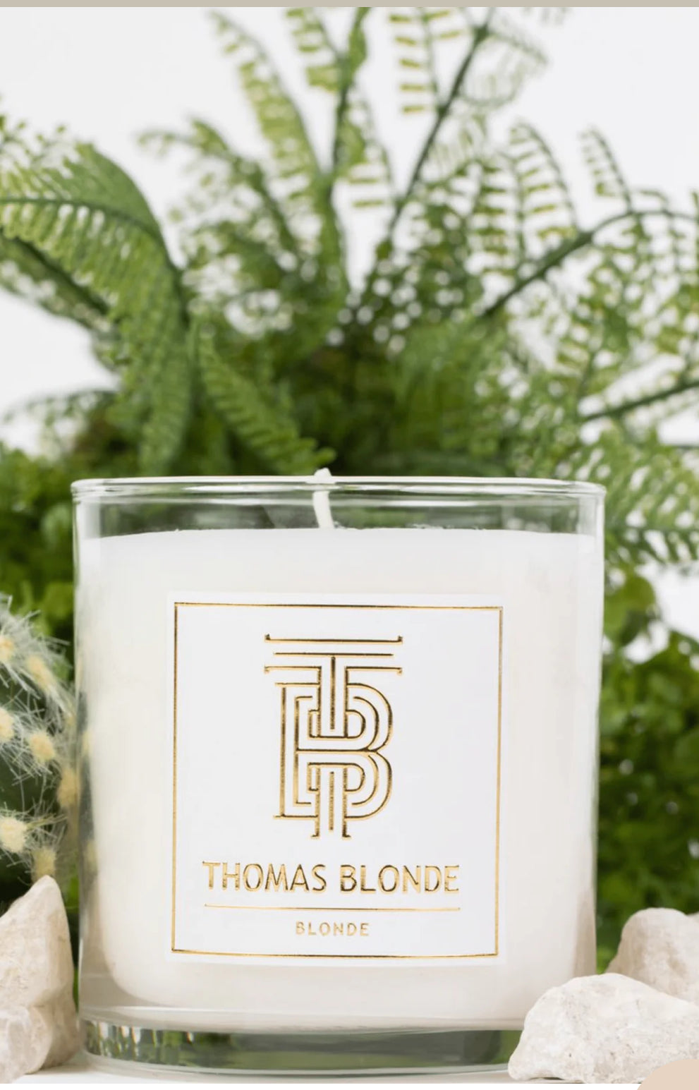 Blonde 12oz Candle - Signature Scent