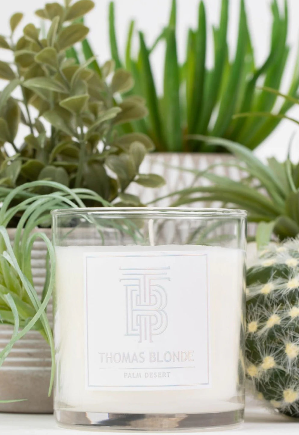 Palm Desert 12oz Candle