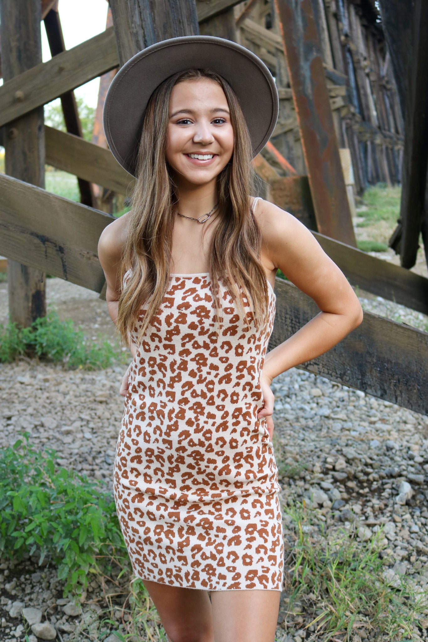 Cheetah Sweater Dress